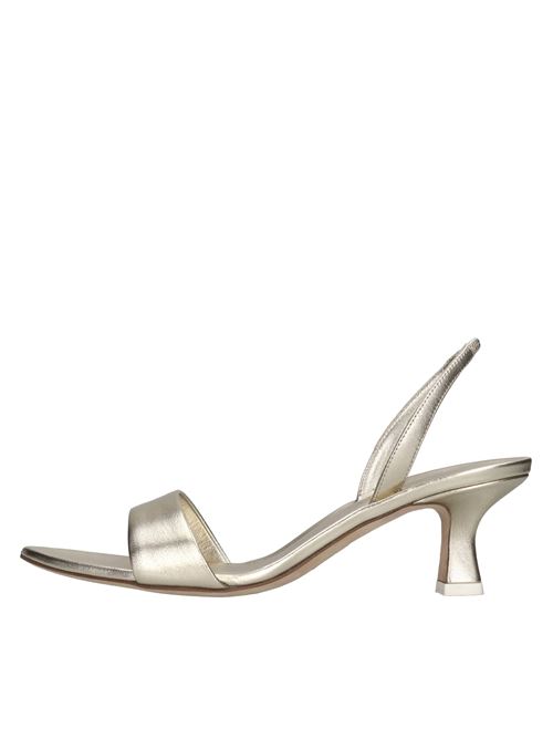  3JUIN | ORCHID 055 SYRIA SHINEDESERT